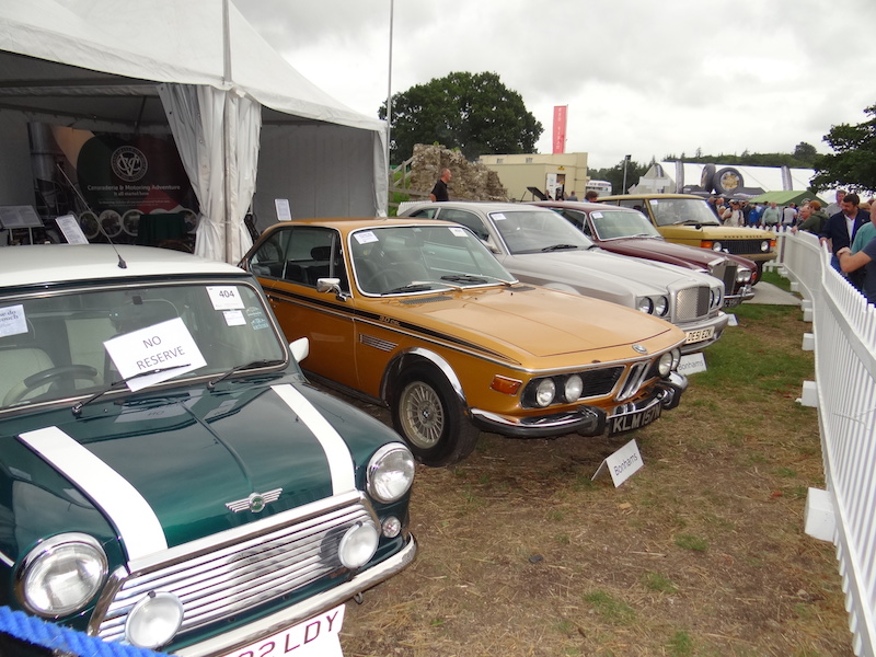 A selection of the cars offered in the Bonhams auction sale. (Photo by Chris Adamson).